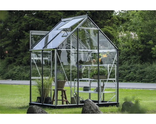 Gewächshaus Halls Icon 6 2,5 m² Blankglas 3 mm 192,5 x 130,3 cm silber Gewächshaus mit Pflanzen und Regalen im Garten