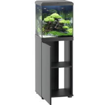 Aquarium combiné avec meuble bas, y compris plantes et poissons