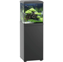 Aquarium avec meuble bas et intérieur planté