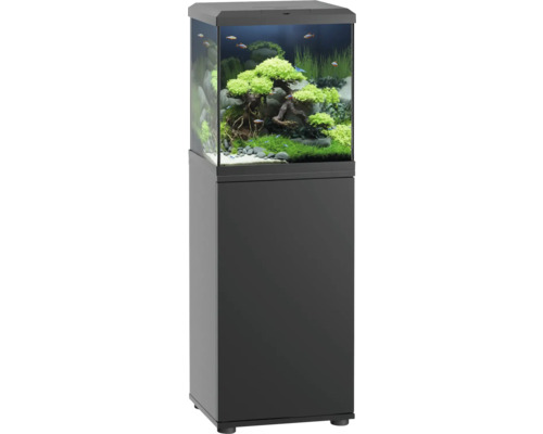 Aquarium avec meuble bas et intérieur planté