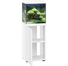 Aquarium avec meuble bas et plantations