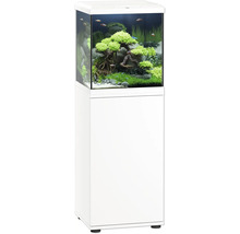 Aquarium complet avec meuble bas et intérieur