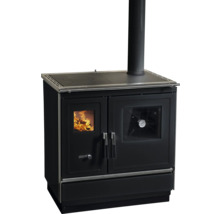 Cuisinière à bois avec plaque de cuisson et four