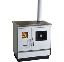 Cuisinière à bois avec plaque de cuisson et fenêtre de visualisation