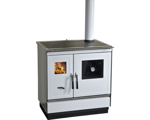 Cuisinière à bois avec plaque de cuisson et fenêtre de visualisation