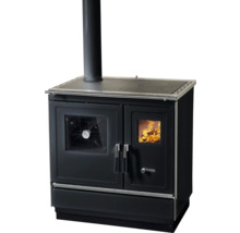 Cuisinière à bois avec plaque de cuisson et four