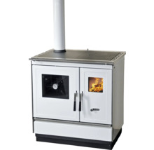 Cuisinière à bois avec plaque de cuisson et four