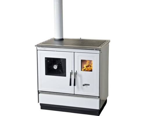 Cuisinière à bois avec plaque de cuisson et four