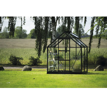 Gewächshaus mit Pflanzen im Garten