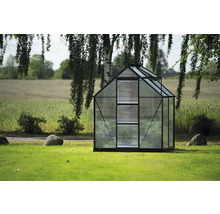 Gewächshaus im Garten mit Glaswänden und Metallrahmen