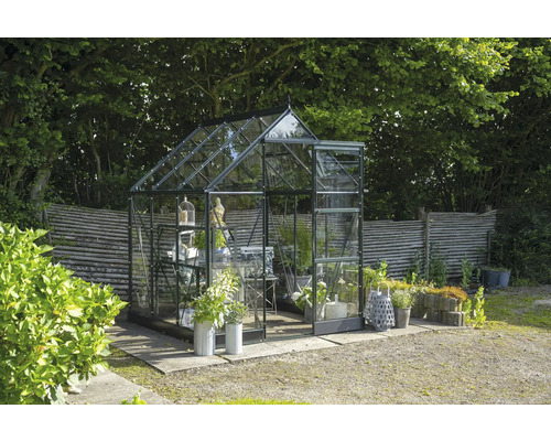 Gewächshaus mit Pflanzen im Garten