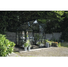 Gewächshaus aus Glas und Metall im Garten