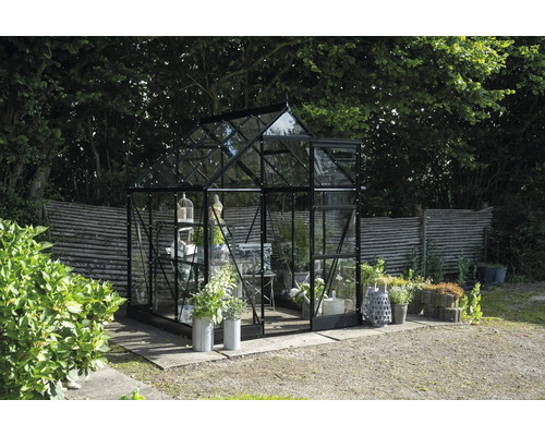 Gewächshaus mit Glaswänden und Metallrahmen im Garten