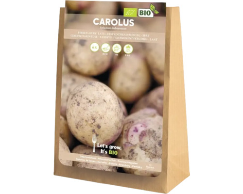 Pommes de terre bio
'Carolus' 6 pièces
, farineuses Pommes de terre de semence Carolus, 5 kilogrammes, issues de l'agriculture biologique