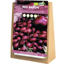 Plants d'oignon d'hiver Red Baron dans un sac en papier