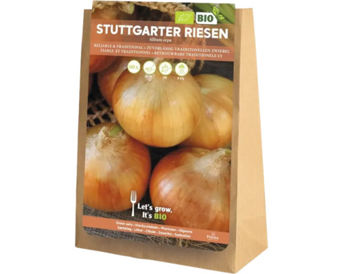 Plants d'oignon bio
'Stuttgarter Riesen' 60 pièces Plants d'oignons géants de Stuttgart dans un sac en papier