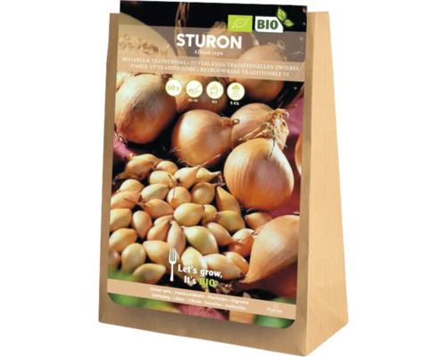 Plants d'oignon bio
'Sturon' 60 pièces Paquet d'oignons de plantation Sturon