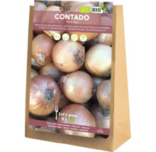Oignons Contado, 5 kilogrammes, en sac papier