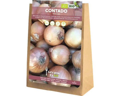 Plants d’oignon bio 'Contado' 60 pièces Oignons Contado, 5 kilogrammes, en sac papier