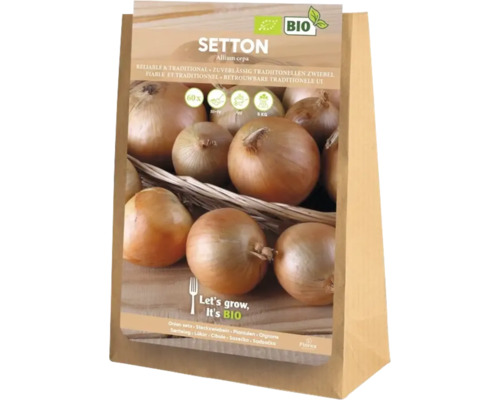 Plants d'oignon bio
'Setton' 60 pièces Oignons Setton, Allium cepa, dans un paquet de 5 kilogrammes