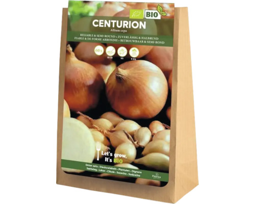 Paquet d'oignons Centurion, Allium cepa, qualité biologique
