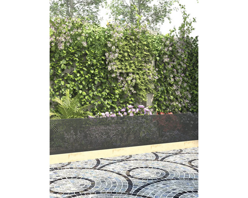 Paravent avec plantes grimpantes dans un jardin