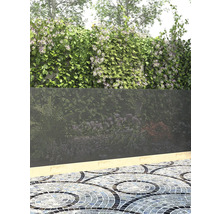 Panneau d'intimité dans le jardin avec des plantes et un sol en mosaïque