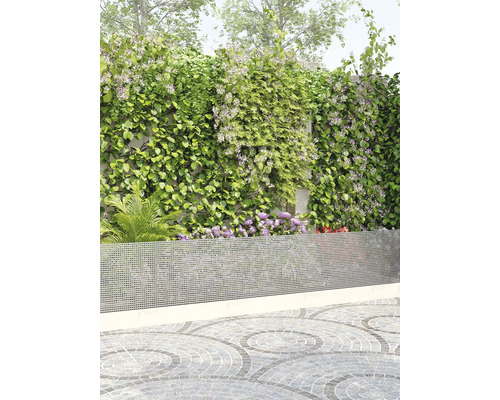 Jardin avec brise-vue, plantes grimpantes et sol pavé