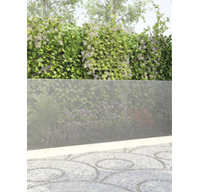 Pergola avec plantes grimpantes et écran de confidentialité en métal