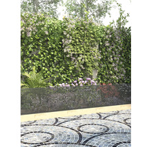 Jardin avec végétation, clôture métallique et pavage en mosaïque