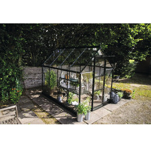 Gewächshaus mit Glaswänden und Regalen im Garten