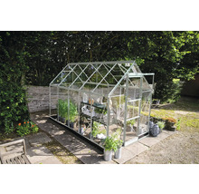 Gewächshaus mit Pflanzen im Garten