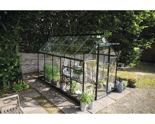 Gewächshaus im Garten mit Pflanzen und Regalen.