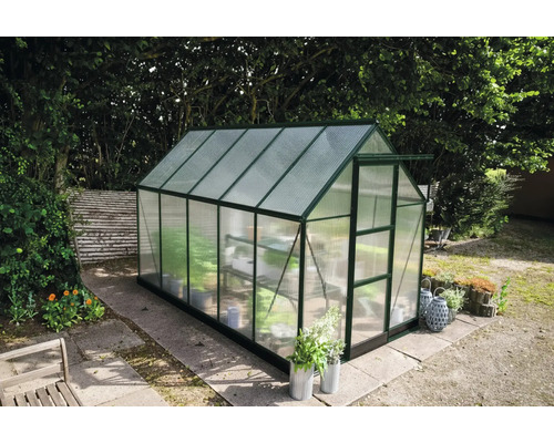 Gewächshaus im Garten mit Pflanzen und Regalen.