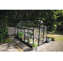 Gewächshaus mit Regalen und Pflanzen im Garten