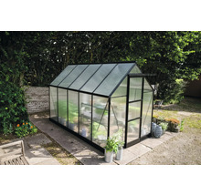 Gewächshaus mit transparenter Verglasung und schwarzem Rahmen im Garten.