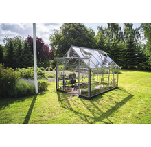 Serre de jardin avec plantes et étagères