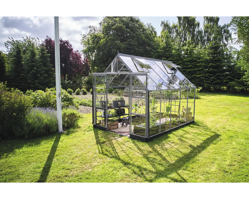 Serre de jardin avec plantes et étagères