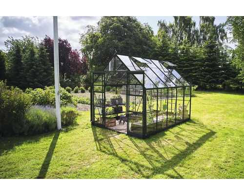 Serre de jardin avec étagères, plantes et fenêtres ouvertes.