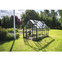 Serre de jardin avec étagère à plantes et fenêtres de toit ouvertes