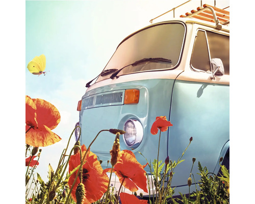 Ein hellblauer, klassischer VW-Bus mit Gepäckträger vor einem Feld mit roten Mohnblumen