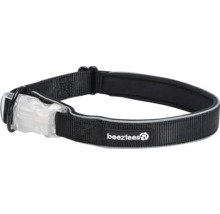 Collier pour chien avec lumière