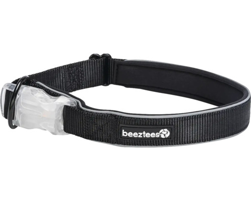 Collier pour chien avec lumière