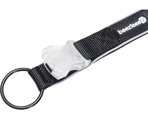 Collier pour chien avec boucle et anneau