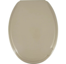 Toilettendeckel aus Kunststoff