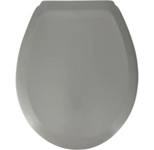 Abattant de toilettes gris vu de dessus