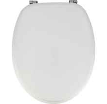 Toilettendeckel aus Kunststoff mit Befestigung