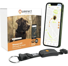 Traceur GPS Weenect XT pour chiens avec application pour smartphone et collier assorti