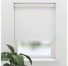 Weisses Rollo am Fenster mit Kettenzug und Pflanze