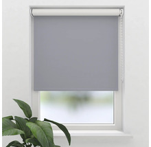 Graues Rollo am Fenster mit Pflanzen im Raum